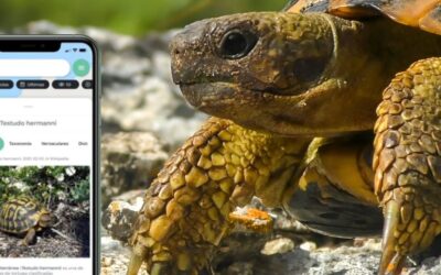 Ciencia ciudadana: la tecnología al servicio del medio ambiente