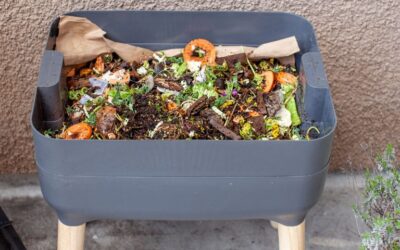 Cómo hacer compostaje en casa, incluso si no dispones de jardín