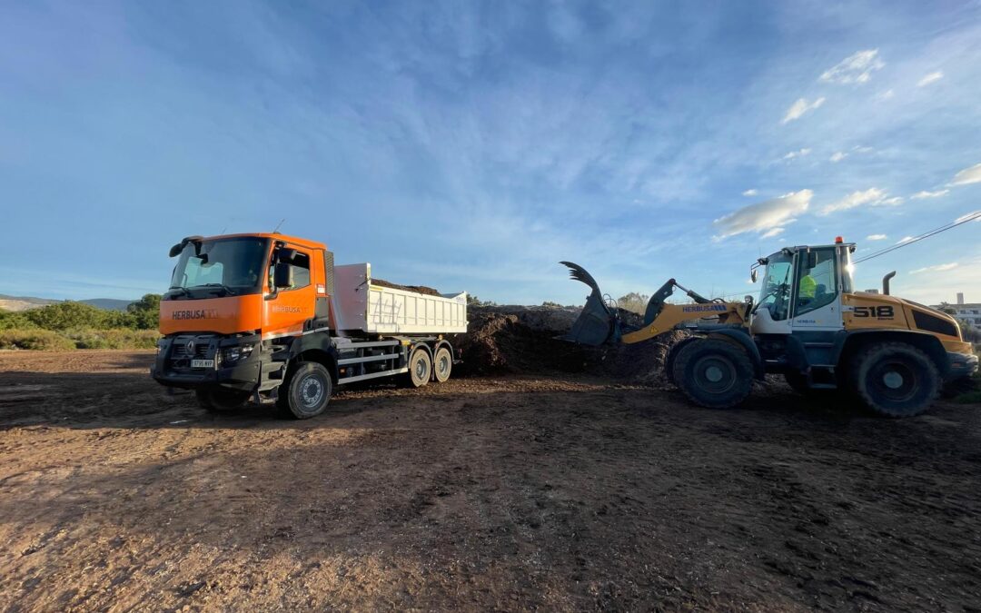 La posidonia vuelve a Sant Josep: proteger el litoral es proteger el futuro