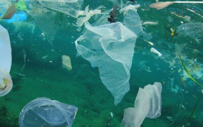 Plásticos en el Mediterráneo: una emergencia global que requiere acción inmediata