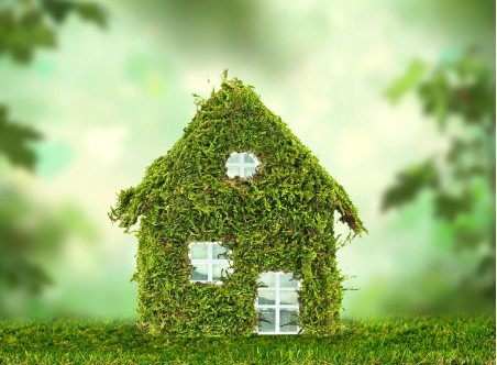 ¿Cómo puedes ayudar a frenar el cambio climático desde casa?